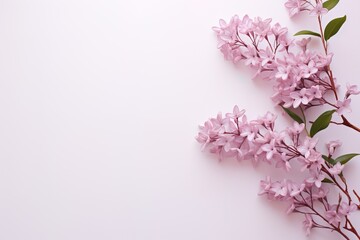 lilac branches on a pink background flat lay