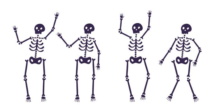 Cartoon flat halloween skeletons set. Funny creepy characters with skull and bones dancing vector illustration. Perfect for banner, poster, greeting card, invitation