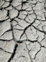 Sun-baked earth whispers tales of scorching days.