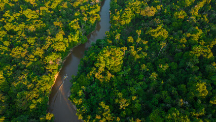 AMAZON FORESTS THAT ARE FLOODED BY THE WATERS OF SURROUNDING RIVERS, THE RIVERS FORM ROUTES FOR...