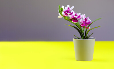 Pink orchid in flower pot on colored yellow grey background. Orchid flower banner with copy space, minimalistic concept. Purple orchid artificial flower in pot on colorful background