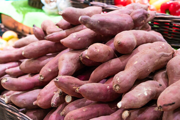 新鮮な野菜　さつま芋