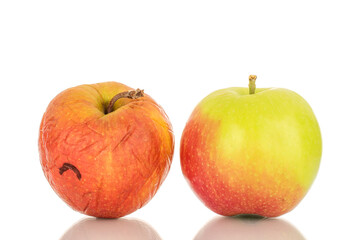 Two apples, one juicy, the other withered, macro, isolated on white background.