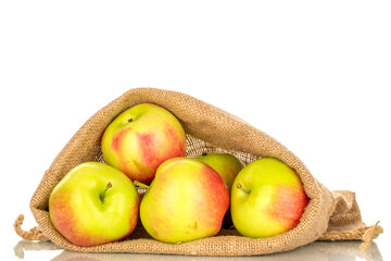 Several sweet juicy apples in a jute bag, macro, isolated on white background.