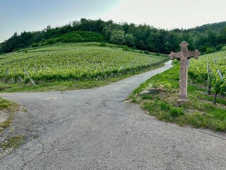Summer Evening at the Crossroads: A Religious Path through Guebwiller's Vineyard Hills, Alsace