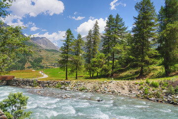 Landscape in Prati di Sant'Orso. Cogne, Aosta Valley - 636338259