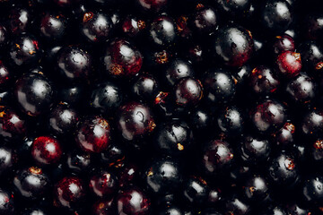Blackcurrant.