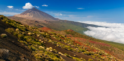 Volcano Teide and Orotava Valley - view from Mirador La Crucita (Tenerife, Canary Islands)  - obrazy, fototapety, plakaty