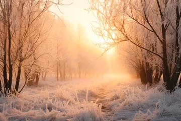 Deurstickers Bestemmingen sunny frosty morning, good winter weather. generative ai