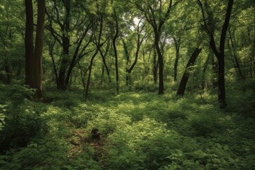 A dense forest with lush vegetation and tightly packed trees. Generative AI
