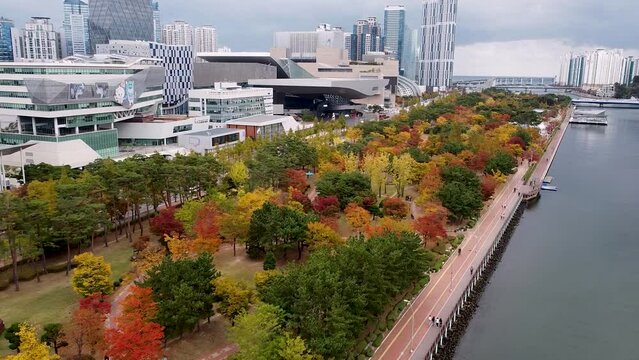Aerial View of Autumn Naru Park, Centum City, Busan, South korea, Asia