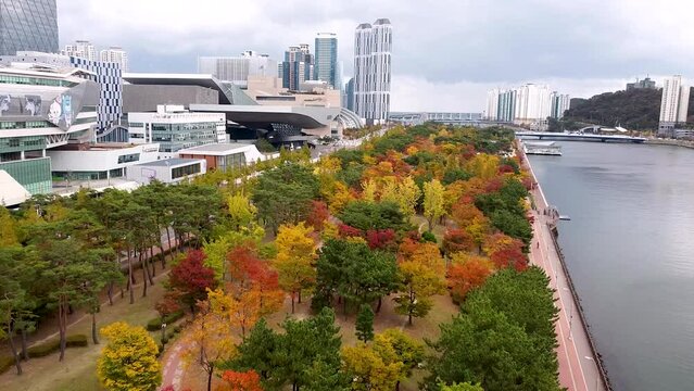 Aerial View of Autumn Naru Park, Centum City, Busan, South korea, Asia