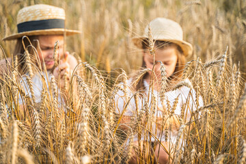 Happy girls walks in beautiful wheat field, embracing summer's yellow sun, nature freedom outdoors....
