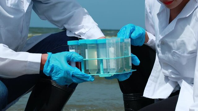 young researchers Researching wastewater caused by plankton bloom Affects aquatic animals and ecosystems, decreasing oxygen, especially on the sea floor.
