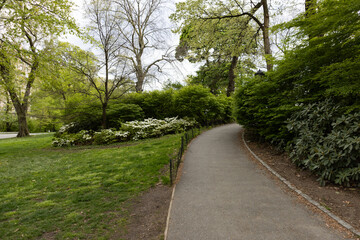 Fototapeta na wymiar Empty Curving Path with Green Plants and Trees at Central Park in New York City during Spring