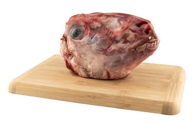 raw lamb head