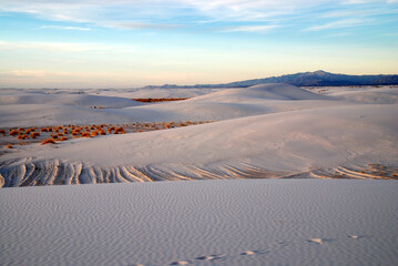 white sand dunes at late afternoon in White Sands National Park