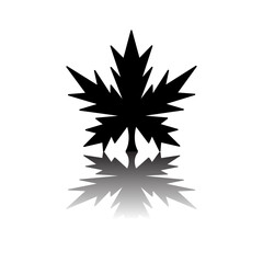 Obraz premium Maple leaf icon