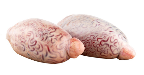 raw ram's testicle