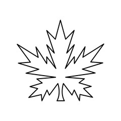 Maple leaf line icon