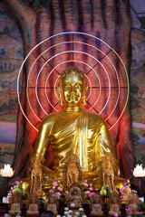 Religion and spirituality.  Buddhism.