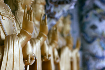 Religion and spirituality.  Buddhism.