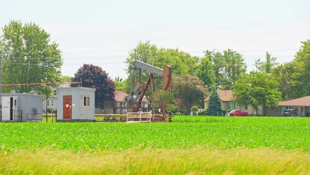 Oil pump jacks near farming field or farm. Oil industry and crude oil prices concept. Oil rig at bright sunny hot summer day. Extraction of fossil fuels, traditional energy sources.