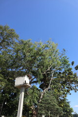 A white birdhouse hanging from a bamboo pole