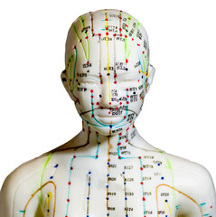 Mannequin with acupuncture meridians on transparent background. - obrazy, fototapety, plakaty
