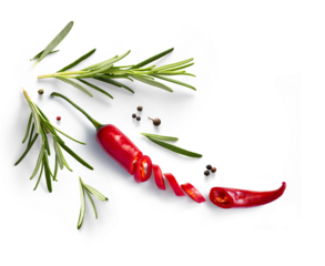 Fresh herb rosemary and red chilli pepper isolated on white background. Transparent background and natural transparent shadow; Ingredient, spice for cooking. collection for design