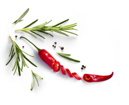 Fresh herb rosemary and red chilli pepper isolated on white background. Transparent background and natural transparent shadow; Ingredient, spice for cooking. collection for design