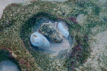 The stones lie in a hole with water on the shore. Natural background