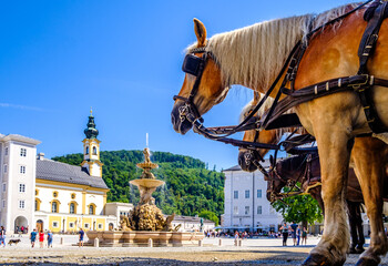 Fototapeta premium famous old town of Salzburg - austria