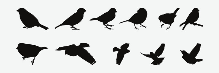 Graceful Flight, A Captivating Collection of Silhouette Sparrow Set for Your Creative Needs