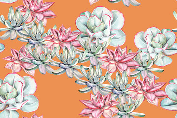 Seamless pattern cactus and echeveria painted with watercolors.For the design of the wallpaper and fabric style Vintage.Nature and minimalist cactus and echeveria background.