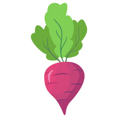 Beet root.Red beet with green leaves. Vegetable of farm product.Isolated on white background.Vector flat illustration.