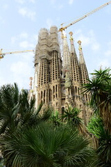 very beautiful cathedral in Barcelona Sagrada Familia