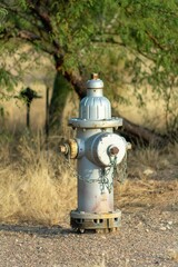Fototapeta na wymiar Fire hydrant situated on a grassy field surrounded by trees