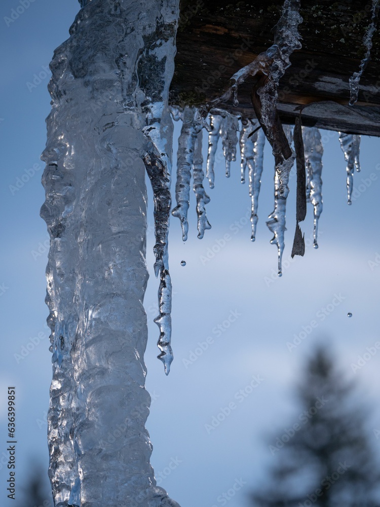 Sticker Shot of a branch blanketed in snow, with chunks of frozen ice cascading off of it