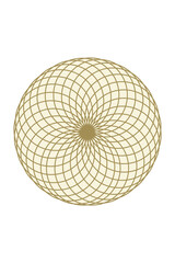 Torus Flower Sacred Geometry