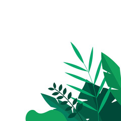 leaves on a white background
