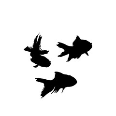 fish silhouette