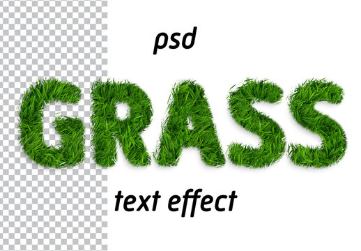 Grass text effect - generative AI grass