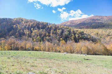 Fototapeta na wymiar Scenic view of beautiful West Virginia mountains in autumn