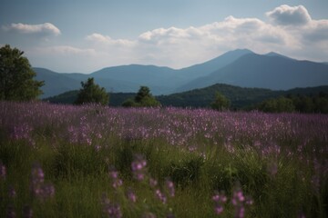 Lavender field in soft purple waves, bees and distant mountains., generative IA