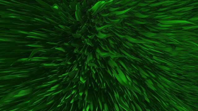 Green Seaweed Underwater Sea Grass Algae Ocean Plant Background