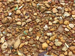 Gravel wallpaper