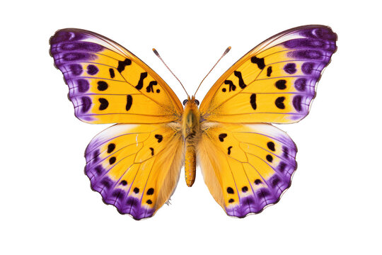 butterfly in violet and yellow in flight isolated on white background. Generative AI