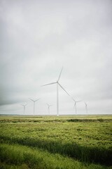 Scenic view of a grassy field with a line of windmills in the background in Nova Scotia, Canada