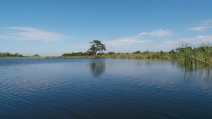 A large body of water surrounded by lush green grass: Okavango Delta, Botswana, Africa